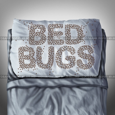 Bed bug on pillow and in bed as a bedbug infestation concept shaped as text letters as parasitic insect pests under the sheets as a hygiene health care symbol and metaphor of parasite bite danger inside a mattress.

. Стоковое фото, агентство Ingram Publishing / Фотобанк Лори