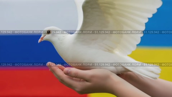 Белый голубь на руках на фоне флагов России и Украины как символ мира. Стоковое AI-видео, аниматор Журавлева Кристина / Фотобанк Лори