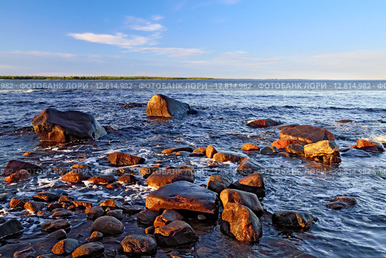 Берег Белого моря летним вечером. Карелия, Россия. Стоковое фото, фотограф Сергей Трофименко / Фотобанк Лори