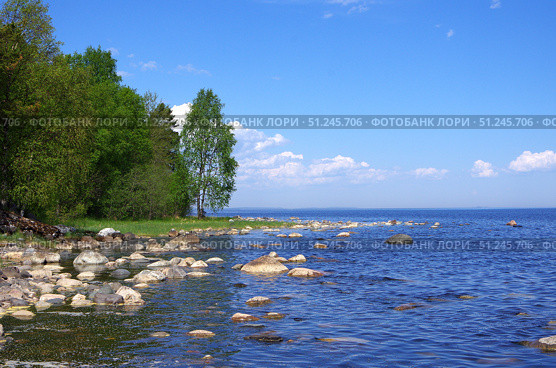 Берег Ивановского острова, Онежское озеро, Карелия. Стоковое фото, фотограф Алексей Иванов / Фотобанк Лори