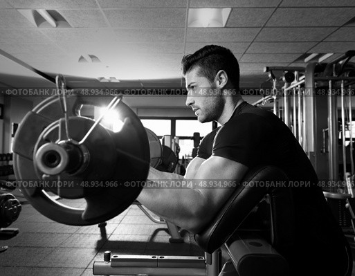 biceps preacher bench arm curl workout man at fitness gym. Стоковое фото, агентство Ingram Publishing / Фотобанк Лори