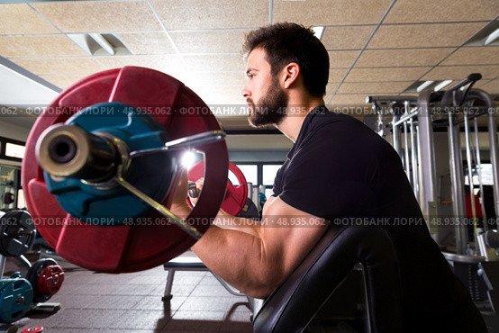 biceps preacher bench arm curl workout man at fitness gym. Стоковое фото, агентство Ingram Publishing / Фотобанк Лори