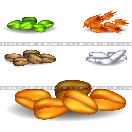 Big wheat grain pile with small heaps of green millet, golden oat, white rice and brown rye. Vector closeup poster of harvest crops. Wheat Grain Pile with Small Heaps on Background. Стоковая иллюстрация, агентство Ingram Publishing / Фотобанк Лори