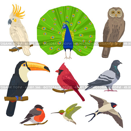 Bird Drawn Icon Set . Birds peacock toucan bullfinch dove owl and swallow color painted flat icon set isolated vector illustration. Стоковая иллюстрация, агентство Ingram Publishing / Фотобанк Лори