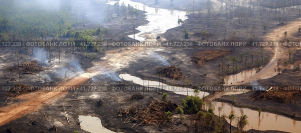 Bird's-eye view of lifeless water-flooded land of cut down and burnt rainforest. Banner. Стоковое AI-изображение, AI-художник Наталья Семкина / Фотобанк Лори