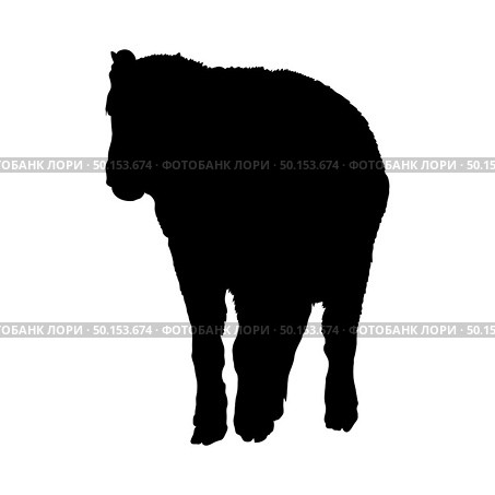 Bison Silhouette. Highly Detailed Smooth Design. Vector Illustration. Стоковая иллюстрация, агентство Ingram Publishing / Фотобанк Лори