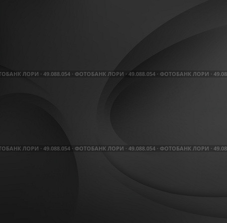 Black elegant business background. Abstract Black background. Template Abstract background with Black curves lines and shadow. For flyer, brochure, booklet and websites design. Стоковая иллюстрация, агентство Ingram Publishing / Фотобанк Лори