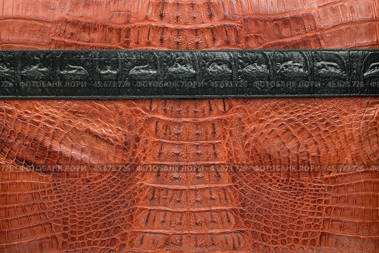Black strip lies on brown crocodile skin. View from above. Стоковое фото, фотограф Александр Собко / Фотобанк Лори