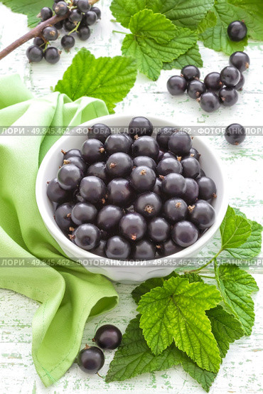 Blackcurrant. Стоковое фото, агентство Ingram Publishing / Фотобанк Лори