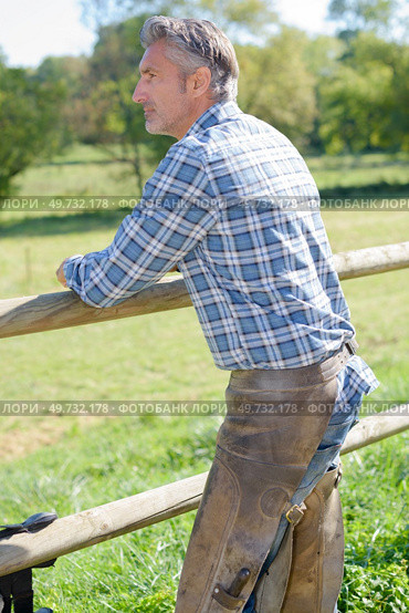 blacksmith resting against paddock fence. Стоковое фото, агентство Ingram Publishing / Фотобанк Лори