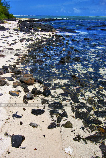 blue bay foam footstep indian ocean some stone in the island of deus cocos in mauritius . Стоковое фото, агентство Ingram Publishing / Фотобанк Лори
