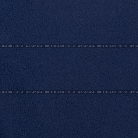 Blue leather texture closeup detailed background. Стоковое фото, агентство Ingram Publishing / Фотобанк Лори