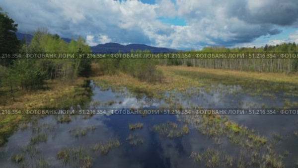 Bog lake landscape with forest. Стоковое видео, видеограф Михаил Коханчиков / Фотобанк Лори