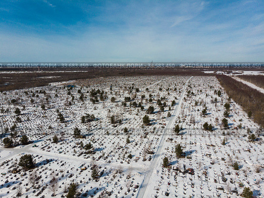 Большое кладбище. Геометрия могил. Захоронения (2020 год). Стоковое фото, фотограф Яковлев Сергей / Фотобанк Лори