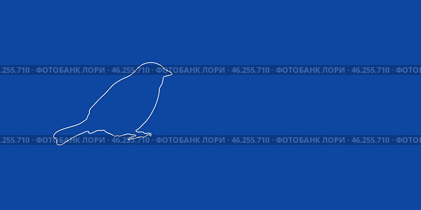 Большой белый контурный символ птицы воробей слева. Выполнен в виде тонких белых линий. Иллюстрация на синем фоне. Стоковая иллюстрация, иллюстратор Карпенко Алексей / Фотобанк Лори