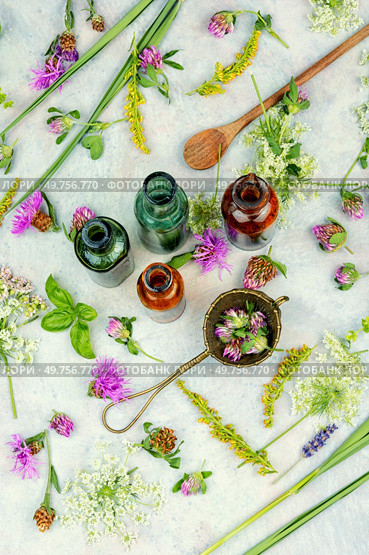 Bottles of tincture or potion and dried healthy herbs, medicinal herbs. Healing mixtures from herbs. Стоковое фото, агентство Ingram Publishing / Фотобанк Лори