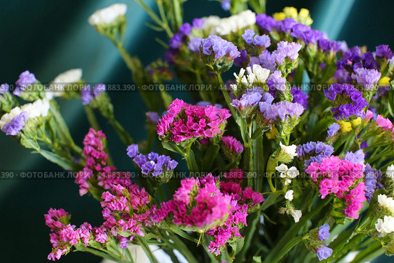 Bouquet of multicolored flowers in a vase (Limonium sinuatum, Statice sinuata) on a green background. Стоковое фото, фотограф Ирина Вершинская / Фотобанк Лори
