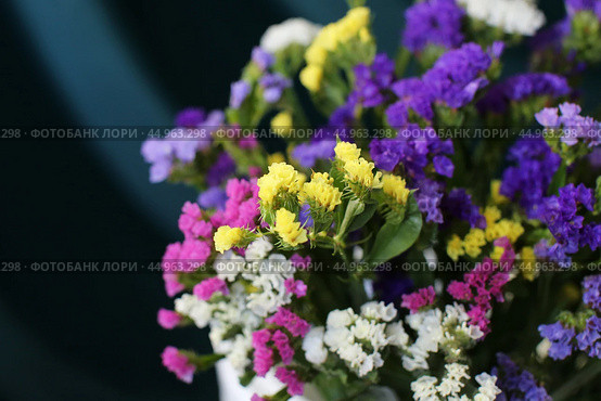 Bouquet of multicolored flowers in a vase (Limonium sinuatum, Statice sinuata) on a green background. Стоковое фото, фотограф Ирина Вершинская / Фотобанк Лори