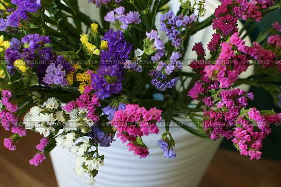 Bouquet of multicolored flowers in a vase (Limonium sinuatum, Statice sinuata) on a green background. Стоковое фото, фотограф Ирина Вершинская / Фотобанк Лори
