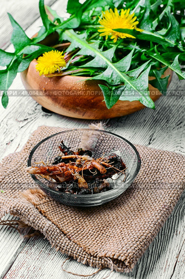 bowl of sliced dandelion root harvested for therapeutic purposes. roots of dandelion flower. Стоковое фото, агентство Ingram Publishing / Фотобанк Лори
