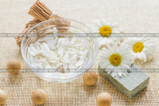 bowl with camomile petals camomile. Стоковое фото, агентство Ingram Publishing / Фотобанк Лори