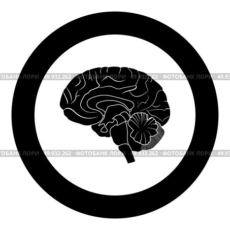 Brain black icon in circle vector illustration isolated. Стоковая иллюстрация, агентство Ingram Publishing / Фотобанк Лори
