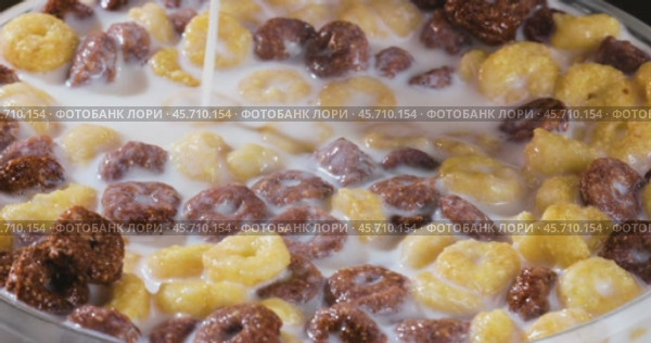 Breakfast Chocolate corn cereal in a bowl with milk. Стоковое видео, видеограф Андрей Армягов / Фотобанк Лори