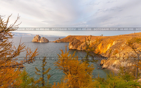 Bright Autumn landscape of Baikal Lake on October sunset. View of famous Shamanka Rock - natural landmark of Olkhon Island. Natural background with yellowed larch trees. Travel and outdoors. Стоковое фото, фотограф Виктория Катьянова / Фотобанк Лори