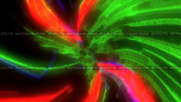 Bright colors and forms move and undulate on screen. Стоковая иллюстрация, иллюстратор David Kashakhi / Фотобанк Лори