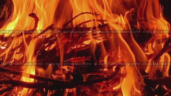 Bright flame of a burning fire. A fire is burning above the stacked birch and pine firewood. The bright flame of the fire rises high. The yellow-orange flame wriggles high. Стоковое видео, видеограф Andrew_Swarga / Фотобанк Лори