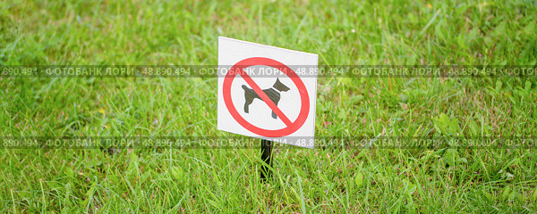 Bright sign dogs forbidden on a green lawn (2019 год). Редакционное фото, фотограф Дмитрий Попов / Фотобанк Лори