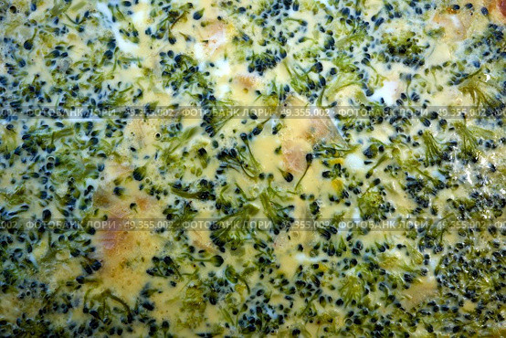Broccoli quiche french recipe homemade. Broccoli quiche french recipe homemade texture detail. Стоковое фото, агентство Ingram Publishing / Фотобанк Лори