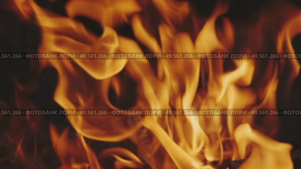 Burning fire flame closeup in fireplace. Стоковое видео, видеограф Михаил Коханчиков / Фотобанк Лори