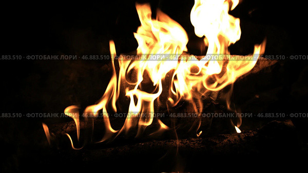 Burning wood in the fire. Стоковое фото, фотограф David Kashakhi / Фотобанк Лори