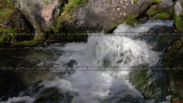 Бурный горный ручей с кристально чистой и прозрачной ледниковой водой. Стоковое видео, видеограф А. А. Пирагис / Фотобанк Лори