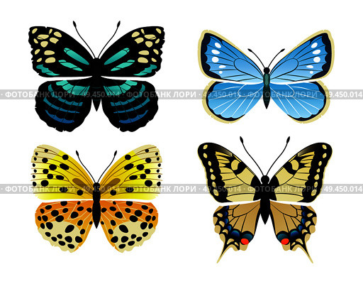 Butterflies types set of creatures, kinds of butterflies, lycaena and morpho peleides, papilionidae vector illustration isolated on white background. Butterflies Types Set of Icons Vector Illustration. Стоковая иллюстрация, агентство Ingram Publishing / Фотобанк Лори