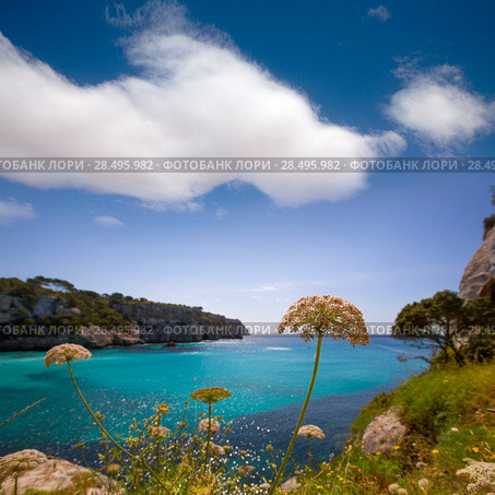 Cala Macarella Ciudadela Menorca turquoise Mediterranean sea in Balearic islands. Стоковое фото, фотограф Tono Balaguer / Ingram Publishing / Фотобанк Лори