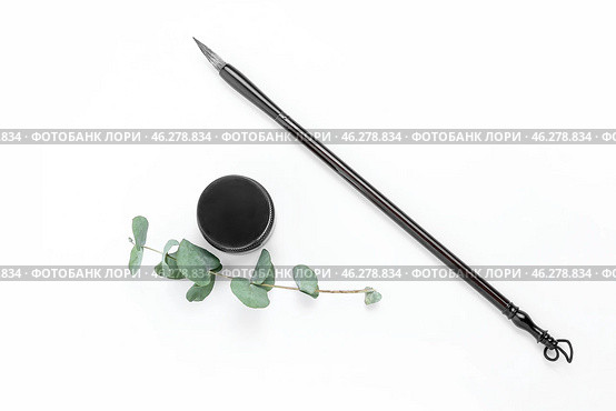 Calligraphic brush with ink and plant branch on white background. Стоковое фото, фотограф Pixel_shot / Фотобанк Лори