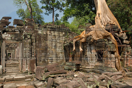 Cambodia, Siem Reap, Angkor, Preah Khan, Hindu Buddhist temple. Стоковое фото, агентство BE&W Photo / Фотобанк Лори
