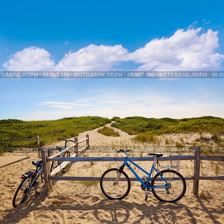 Cape Cod Herring Cove Beach in Massachusetts USA. Стоковое фото, агентство Ingram Publishing / Фотобанк Лори