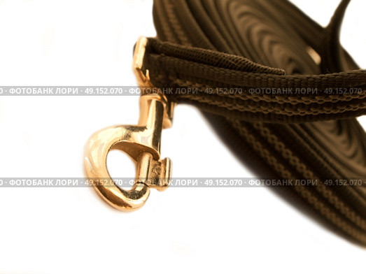 carbine from lungeing rein for working horse isolated . Стоковое фото, агентство Ingram Publishing / Фотобанк Лори