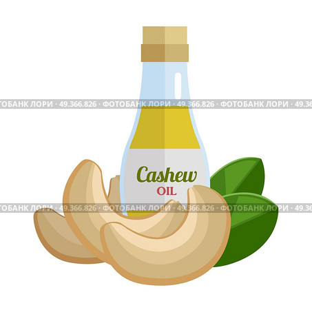 Cashew Oil Vector Illustration in Flat Design.. Cashew oil and nuts vector. Flat design. Healthy food, diet and cosmetic products. Seasoning. Culinary ingredient, source of protein, vitamins, fatty acids. Isolated on white background. Стоковая иллюстрация, агентство Ingram Publishing / Фотобанк Лори