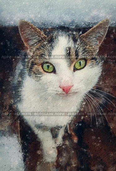 Cat portrait painting. Close up kitten outdoor sheltering from snow. Beautiful kitty face, marvelous eyes. Pet outside, snowing winter season scene. Стоковое фото, агентство Ingram Publishing / Фотобанк Лори