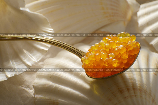 caviar salmon on a teaspoon. Стоковое фото, агентство Ingram Publishing / Фотобанк Лори