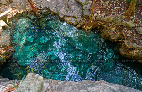 Cenote in Riviera Maya of Mayan Mexico sinkhole exposing groundwater. Стоковое фото, агентство Ingram Publishing / Фотобанк Лори