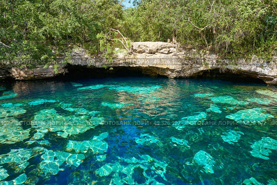 Cenote in Riviera Maya of Mayan Mexico sinkhole exposing groundwater. Стоковое фото, агентство Ingram Publishing / Фотобанк Лори