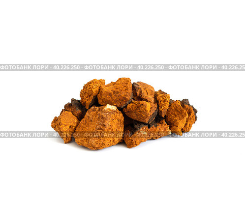 Chaga mushroom isolated on a white background. Pieces of chaga. Inonotus Obliquus. Стоковое фото, фотограф Марина Багрова / Фотобанк Лори
