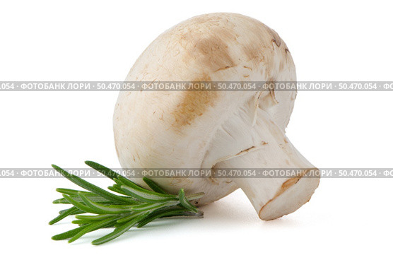 Champignon mushroom and parsley leaves isolated on white background. Стоковое фото, агентство Ingram Publishing / Фотобанк Лори
