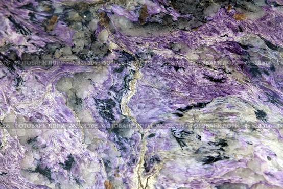 Charoite with aegirine, tinaxite and feldspar. Стоковое фото, фотограф EugeneSergeev / Фотобанк Лори