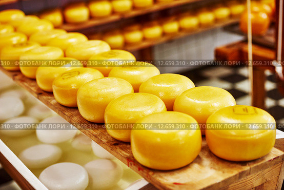 cheese production. Стоковое фото, фотограф Дмитрий Калиновский / Фотобанк Лори
